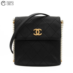 CHANEL Hobo Pearl Strap Shoulder Bag #31