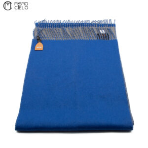 LOUIS VUITTON Blue Grey Duo Cashmere Echarpe *